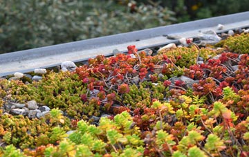 the cost of Ballidon green roof installation