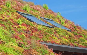 Ballidon living roof systems
