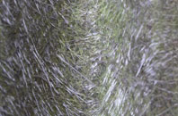 Ballidon fibreglass roof work